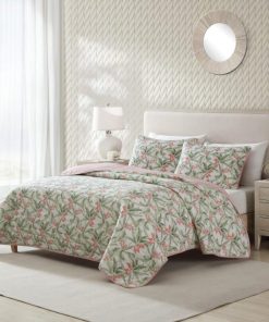 Northcross.shop1596a30353 2