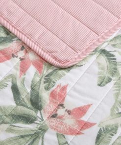 Northcross.shop1596a30353 4