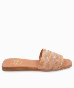 Northcross.shop2400062178 1