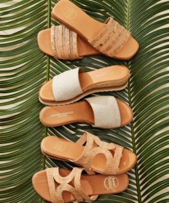 Northcross.shop2400062178 3