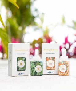 Northcross.shop27bc951ae6 4