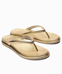 Northcross.shop31e499560f 1