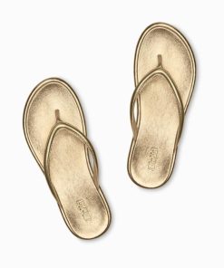 Northcross.shop31e499560f 3