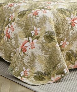 Northcross.shop6816225809 2