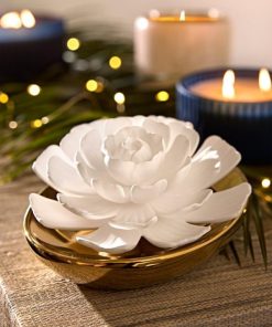 Northcross.shop795aa74458 1