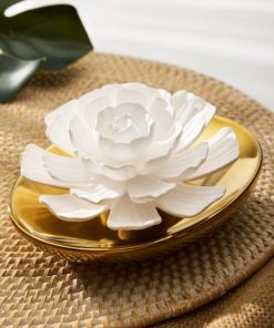 Northcross.shop795aa74458 3