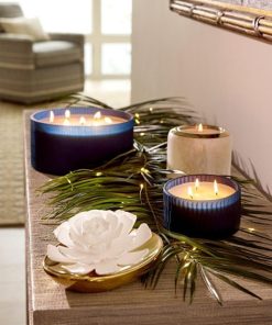 Northcross.shop795aa74458 4