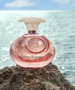 Northcross.shop7c76c71164 1