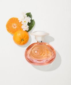 Northcross.shop7c76c71164 2