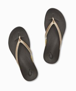 Northcross.shop95820a324c 2