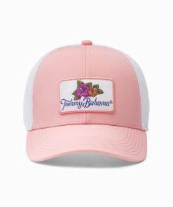 Northcross.shopac96e4feb4 3