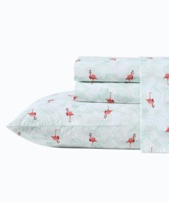 Northcross.shopc8a7adf26e 4